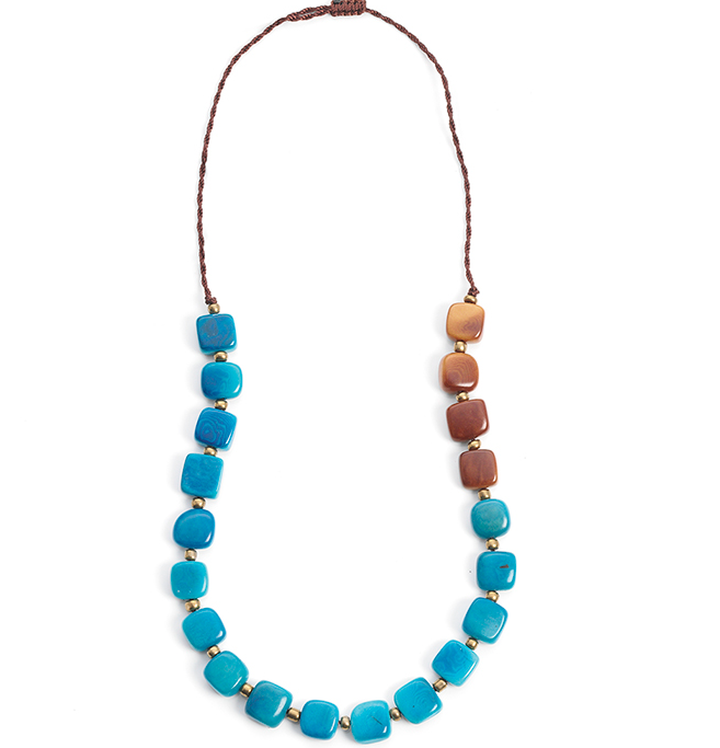 Tagua: A Tropical Rainforest Treasure