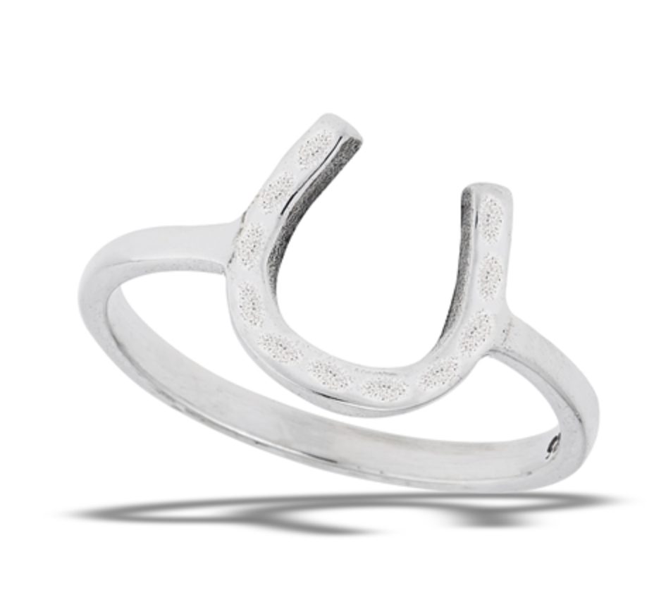 Good Luck Hammered Horseshoe