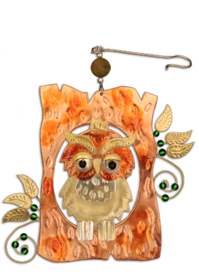 Little Hoot