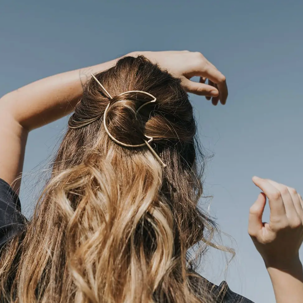 Hair Slide w/ Stick