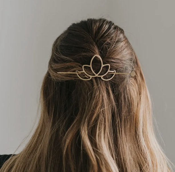 Hair Slide w/ Stick