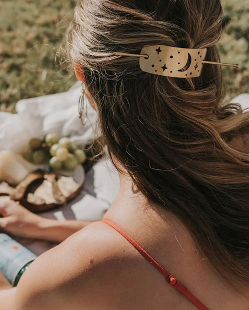 Hair Slide w/ Stick