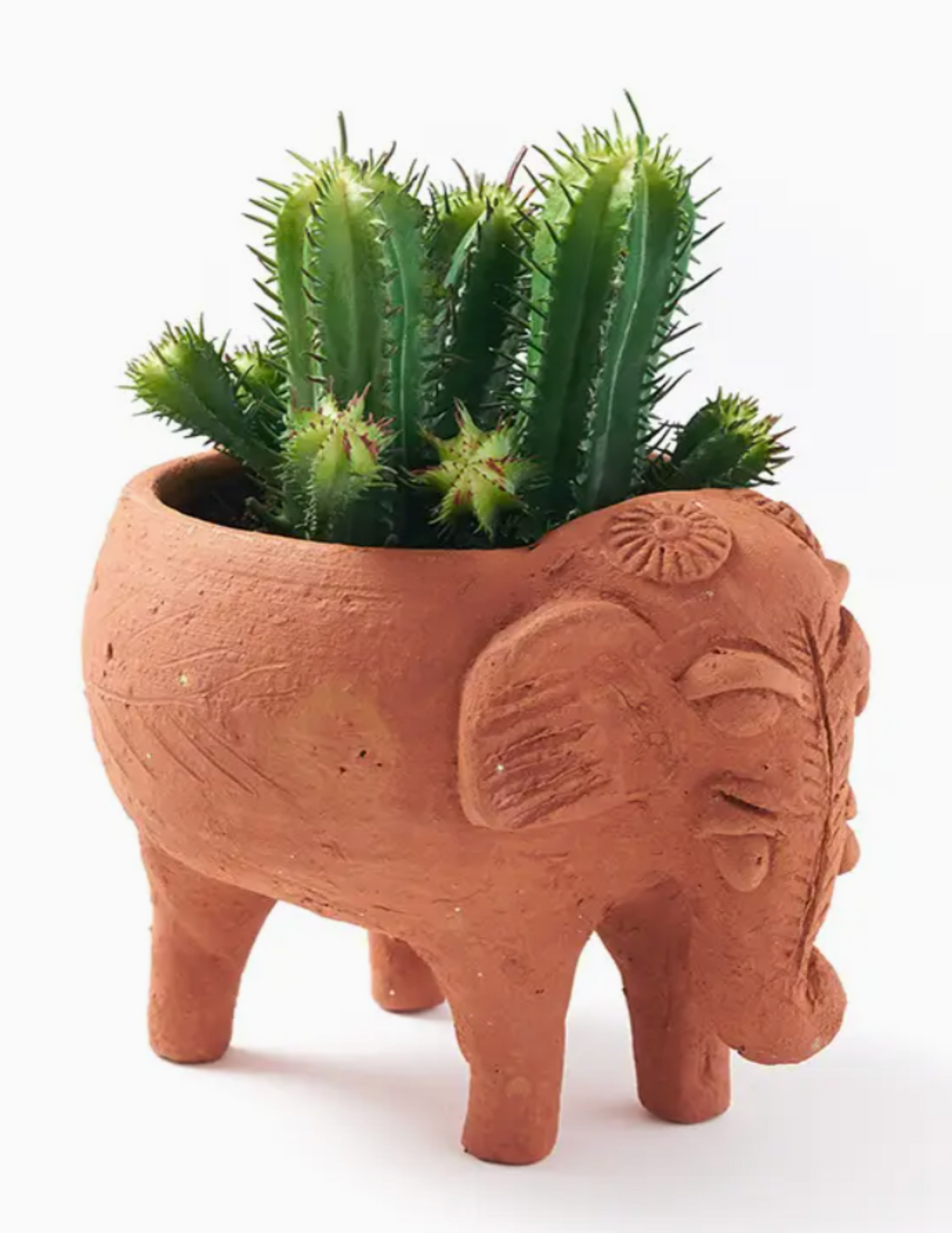 Rakshana Plant Pot - Terracotta