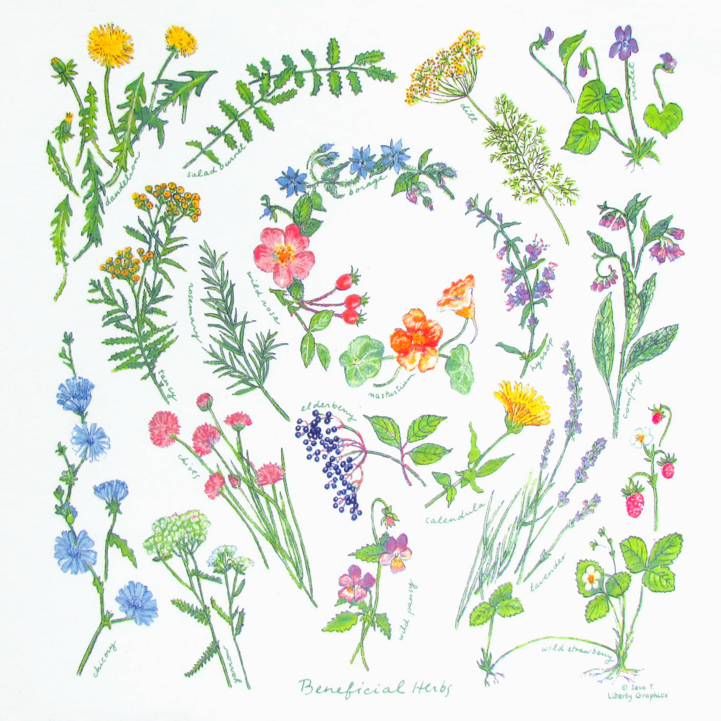Tea Towel
