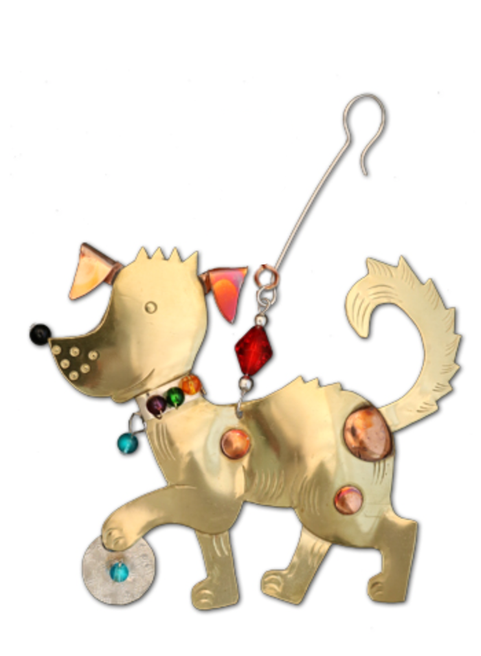 Playful Pooch
