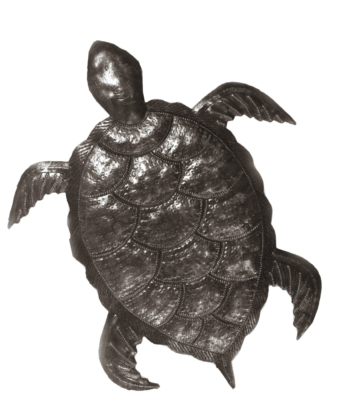 Small Sea Turtle