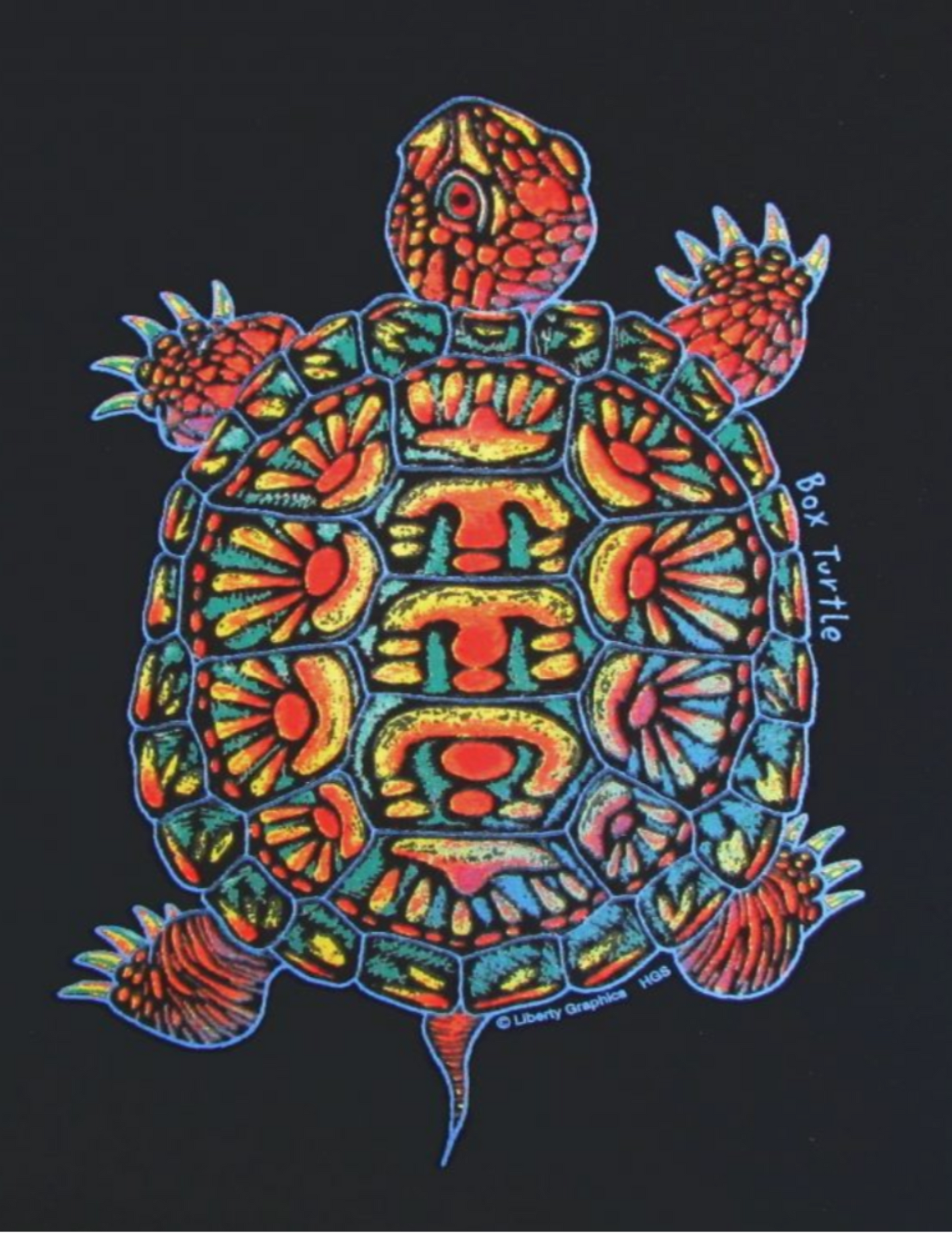 Box Turtle T-Shirt