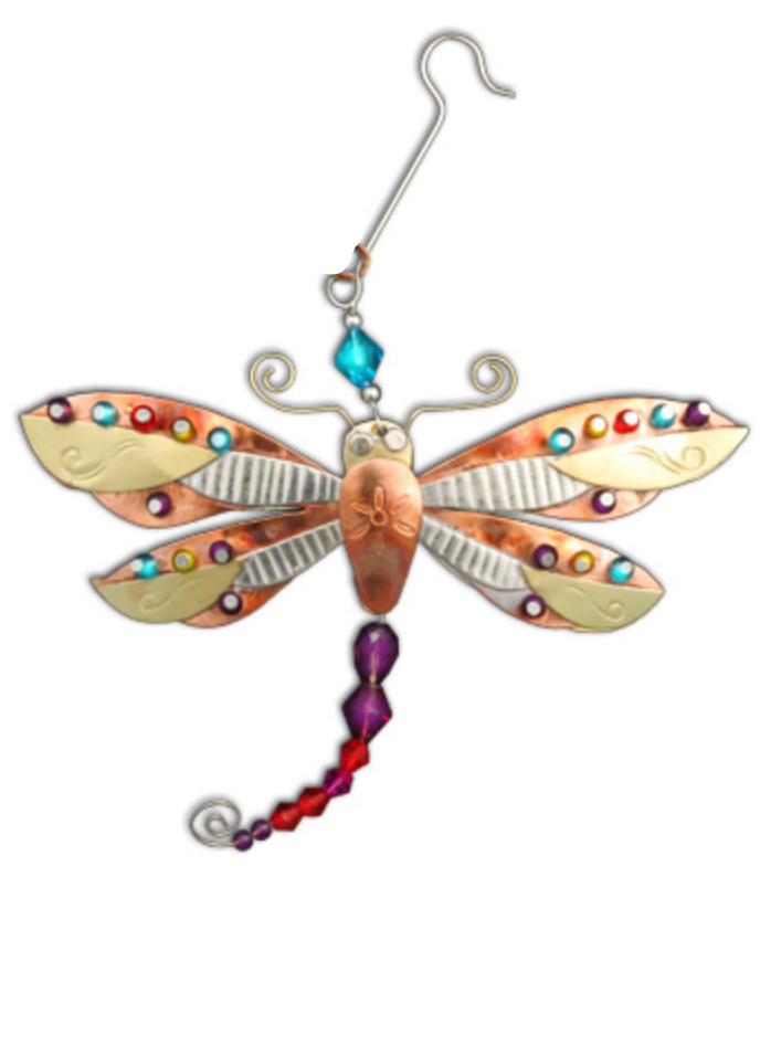 Bright Wings Dragonfly