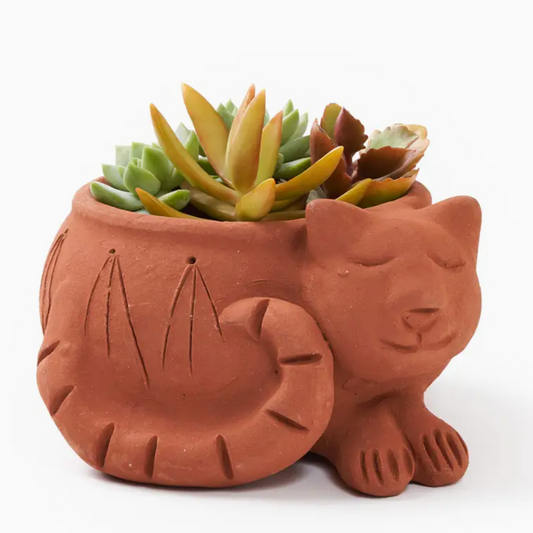 Rakshana Plant Pot - Terracotta
