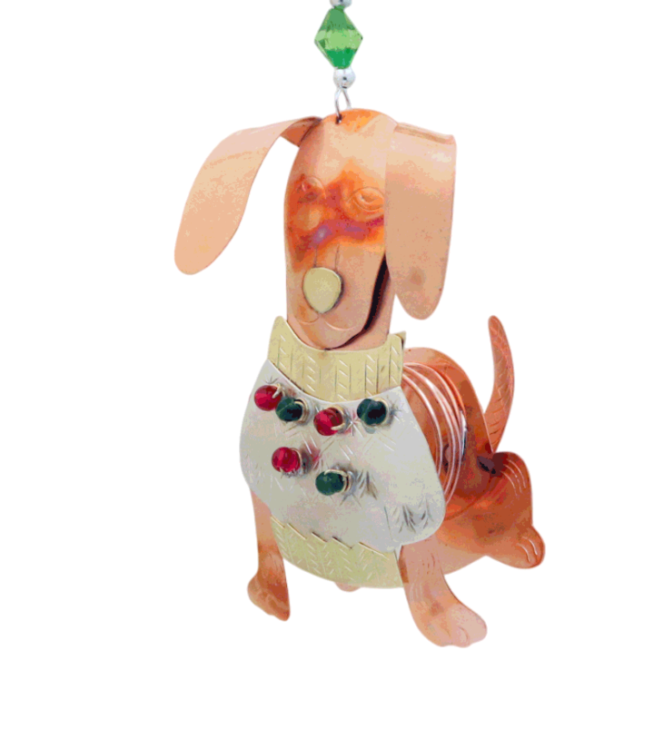 Dapper Dachshund