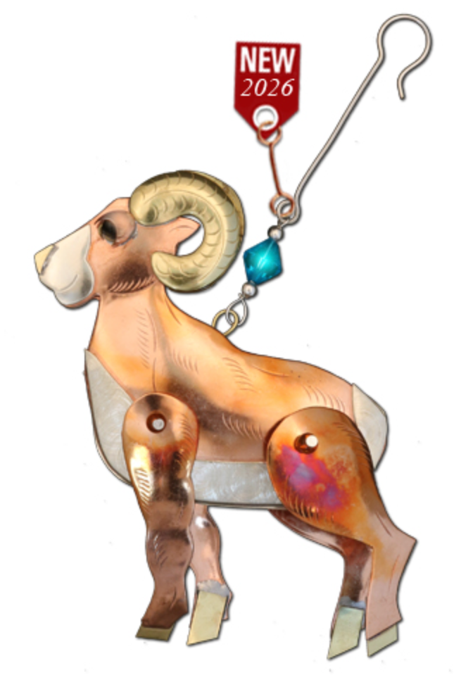 Bighorn Sheep